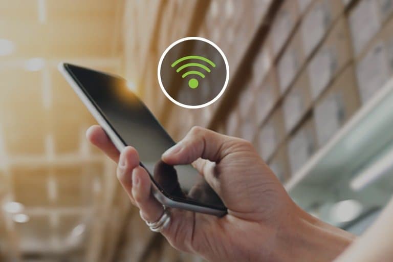 WiFi vs Cellular Data: Making the Right Choice for Business Connectivity
